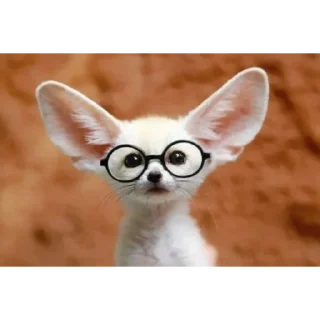 Telegram sticker 😎 호밍빡이 최고임2