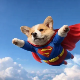 Telegram sticker 😆 호밍빡이 최고임2