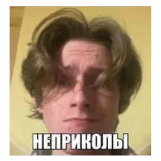 Sticker 🫥 notrofls майнкрафт дебил пак