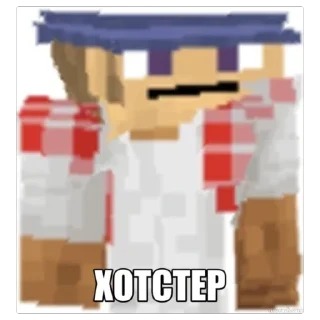 Video sticker 🫥 notrofls майнкрафт дебил пак
