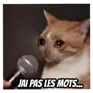 Sticker 🥺 Karim's pack 3 @Abdoulkarim619