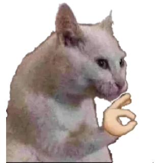 Telegram sticker 👌 Karim's pack 3 @Abdoulkarim619