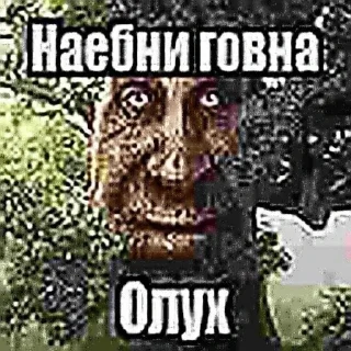Телеграм стикер 🌳 ебла джеометри даше