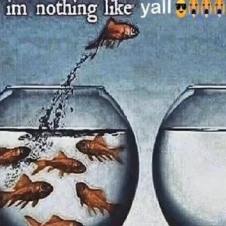 Телеграм стикер 🐟 ебла джеометри даше