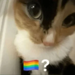 Sticker 🏳️‍🌈 MICHIS 2 by @TSthemes