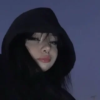 Telegram sticker 🌸 🌸 @MeusPacksAriana