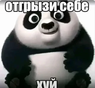 Telegram sticker 🤩 собачий кайф