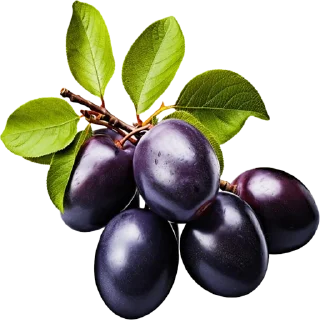 Telegram sticker 🫐 Fruits @PunjabISticker