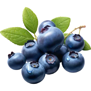 Telegram sticker 🫐 Fruits @PunjabISticker