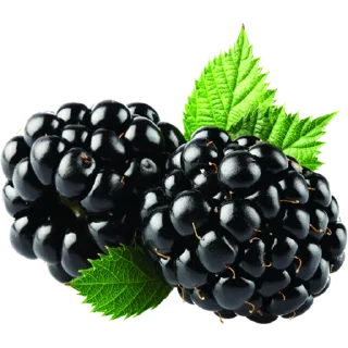 Telegram sticker 🍇 Fruits @PunjabISticker