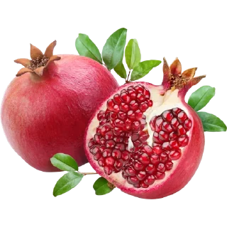 Video sticker 🫒 Fruits @PunjabISticker