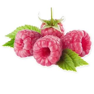 Telegram sticker 🍒 Fruits @PunjabISticker