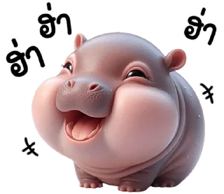 Video sticker ⭐ @nammo1997