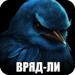 Sticker 🐦 Почему @dom1kq 🏠 пуст?