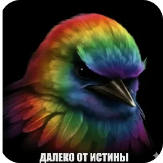 Video sticker 🐦 Почему @dom1kq 🏠 пуст?