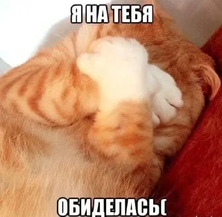Telegram sticker 🥺 Сашуля Керчуля и Руся бро моме :: @fStikBot