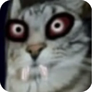 Telegram stiker 🫥 🦢 Final Swan :: @fStikBot