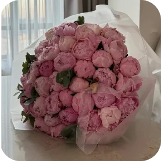 Video sticker 😀 seham