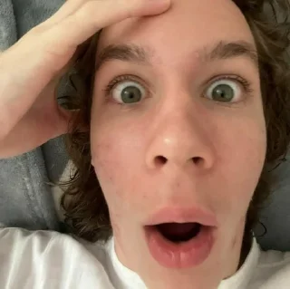 Video sticker 😱 медведь папа :: @fStikBot