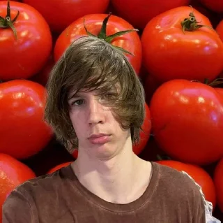 Telegram sticker 🍅 медведь папа :: @fStikBot