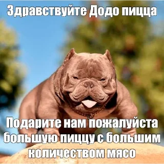 Telegram sticker 🍕 локал щи