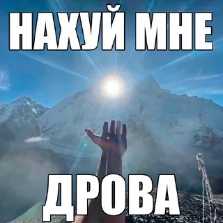 Video sticker 🌞 локал щи