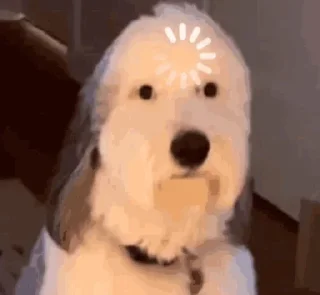 Telegram stiker 🤨 На любую ситуацию :: @fStikBot