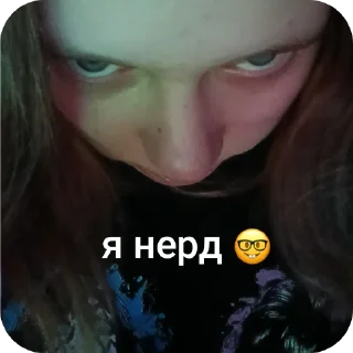 Telegram sticker 💇 это же я { @AveAlcest_M }