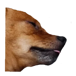 Telegram sticker 😛 FAMILY