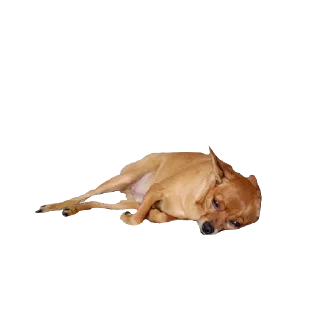 Telegram sticker 😢 FAMILY
