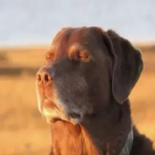 Telegram sticker 😭 the real owner @thegyzo // @loveyallpt2