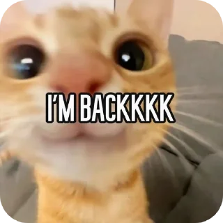 Telegram sticker 🐱 ARC to karser to ARC 🌚