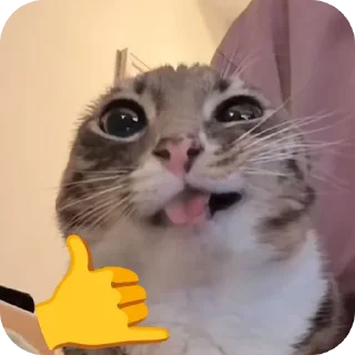 Telegram sticker 🐱 ARC to karser to ARC 🌚