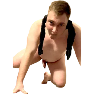 Telegram sticker 🐶 Monkeyboy Gabe