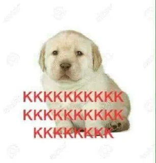 Video sticker 🤣 paquiteens pauzudos