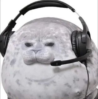 Sticker 🎧 тюлени правят пятым измерением :: @fStikBot