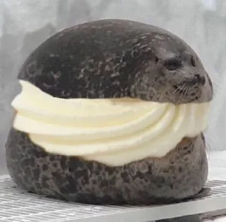 Video sticker 🥯 тюлени правят пятым измерением :: @fStikBot