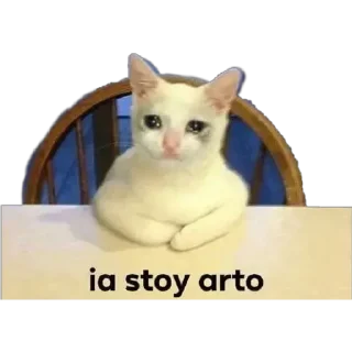 Telegram sticker 😿 memes argentinos