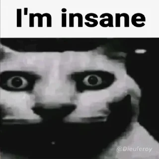 Video sticker 💊 t.me/benadrylposting