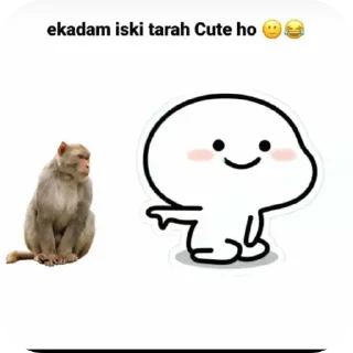 Video sticker 🧸 🤣👽hehehehe(dusron ke churaye hue stickers )