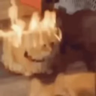 Video sticker 🫨 бебебебе пепепе