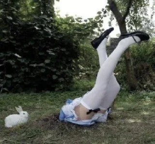 Telegram sticker 🎀 meet me in dreams