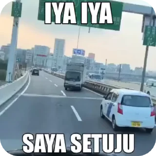 Video sticker 🌟 peaq :: @fStikBot