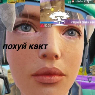 Video sticker 🤷‍♀ кета