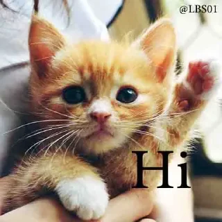 Sticker ✋ Geol @megeOoa  @Premium_userss