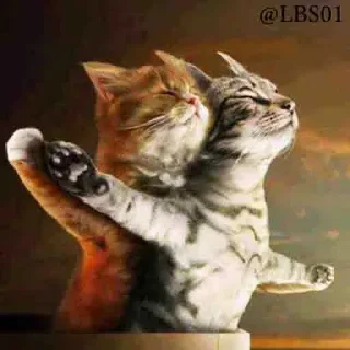 Телеграм стикер ❤ Geol @megeOoa  @Premium_userss