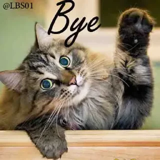 Телеграм стикер 👋 Geol @megeOoa  @Premium_userss