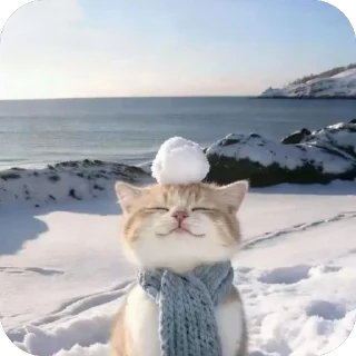 Telegram sticker 🫥 Котак @SozdaiStickeriBot