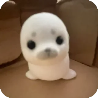 Video sticker 🫥 Котак @SozdaiStickeriBot