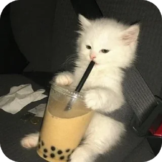 Telegram sticker 🫥 Котак @SozdaiStickeriBot